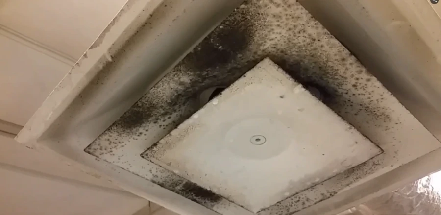 mold removal Gainesville FL active mold at air vent