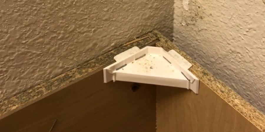 black mold growth inside bathroom vanity cabinet